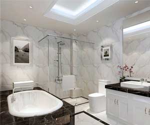 5個要點(diǎn)要牢記 裝出完美衛(wèi)生間