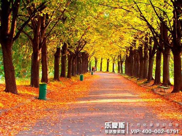 石家莊裝修效果圖