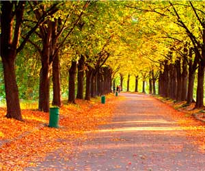警惕秋季裝修“后遺癥” 否則問題就大了！