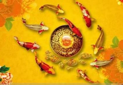 風水魚如何選擇擺件？