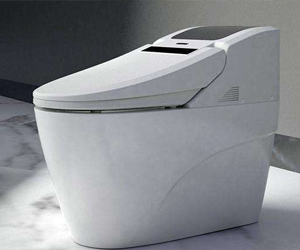 智能馬桶的選購及保養(yǎng)知識