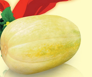 吃甜瓜的百種不同的方法及它的營養(yǎng)價值