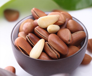 松子和榛子是一樣的嗎？