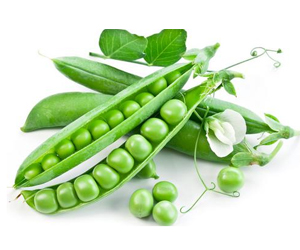 你會種植豌豆嗎？