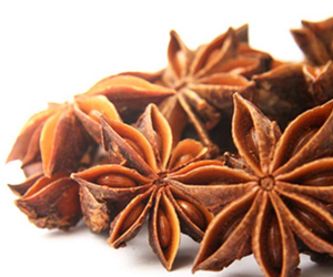 八角怎么選購呢？是什么樣的價位呢？