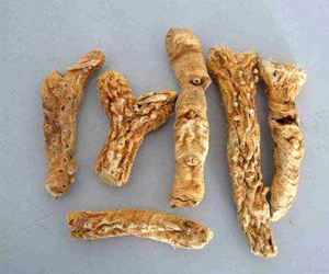 知母貴嗎？它是怎樣加工的呢？