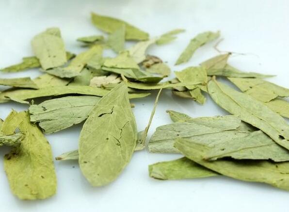 番瀉葉能不能減肥？