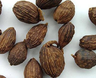 草果有什么作用？怎么制作呢？