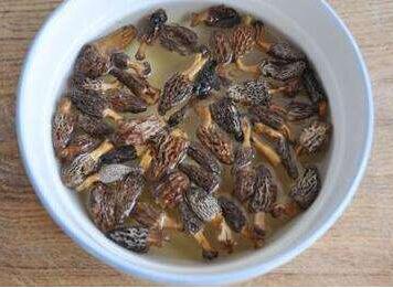 羊肚菌怎么泡呢？