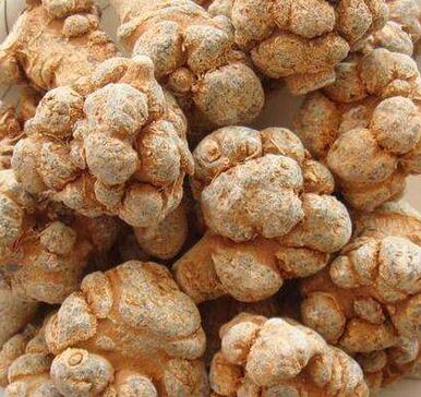 三七貴嗎？選購技巧是什么呢？