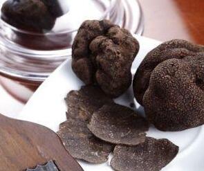 黑松露是什么？