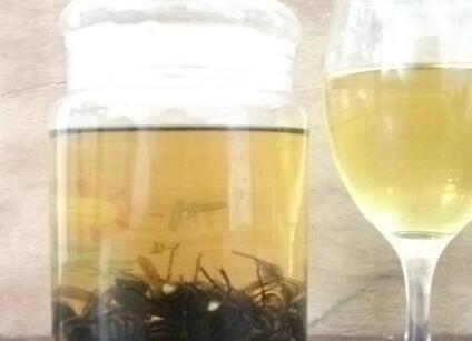 虎頭蜂酒怎么樣？有哪些功效呢？