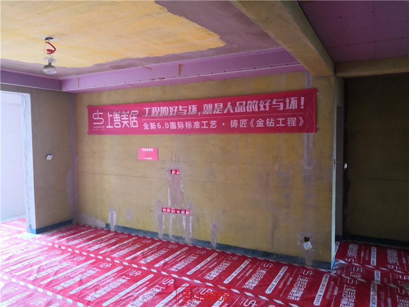 維多利亞120平/中期驗收